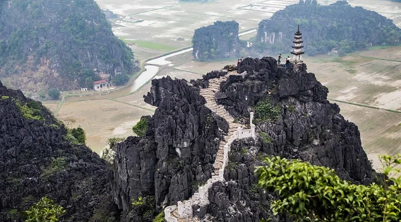 Beautiful Tam Coc golden rice fields, easily accessible via our direct bus Ha Long to Ninh Binh.