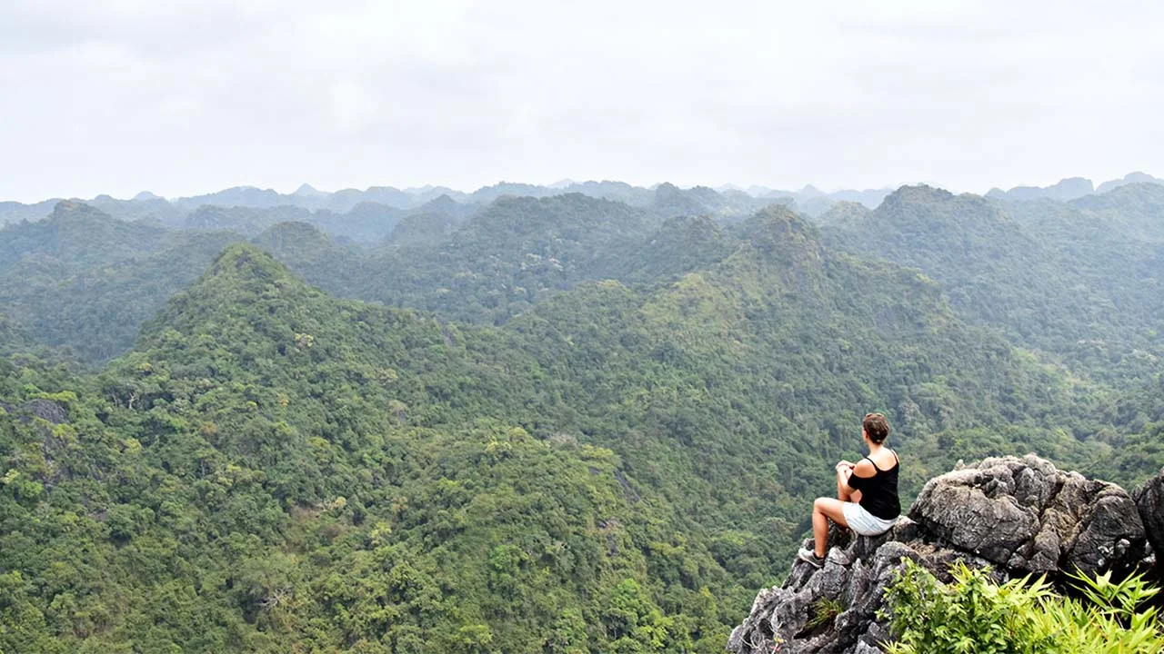 An aerial shot of dense tropical jungle and rugged mountain ridges under a bright blue sky in Cat Ba National Park.