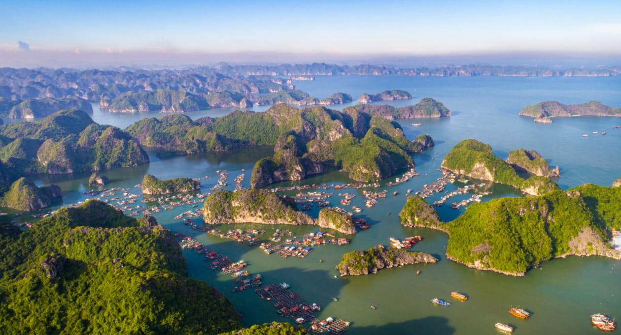 A panoramic view of traditional wooden junks sailing among karst islands in Ha Long Bay.