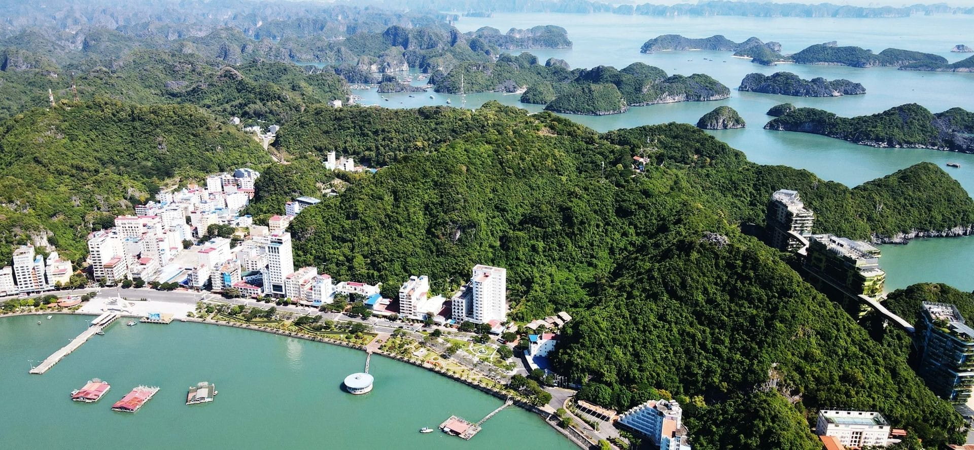 A scenic coastal road on Cat Ba Island winding between steep green cliffs and the blue ocean.