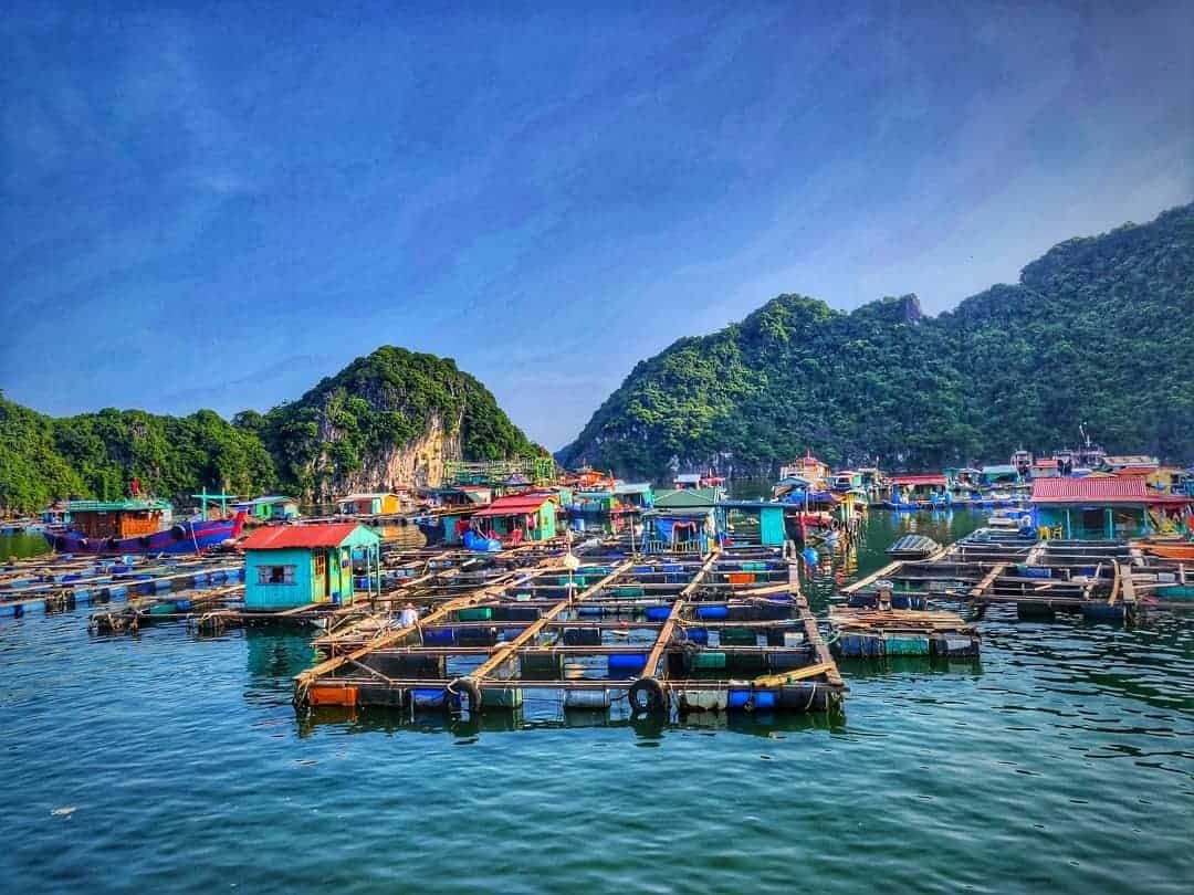 Traditional colorful floating houses and fishing boats in Cua Van Village, surrounded by Ha Long's limestone mountains.